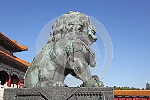 China. Beijing. The bronze lion statue in Forbidden City